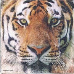 Serwetka   -2351- , tygrys